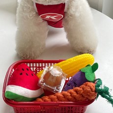 김멍냥 강아지 삑삑이 장바구니 + 인형 장난감 5종 세트, 혼합색상, 1세트 반려동물용품/강아지 용품 반품 최저가 4,760원