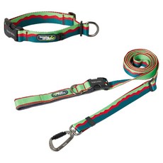 분독 강아지 어드벤처 하이브리드 리쉬 + 목줄 세트, 그린, 그린, 1세트 반려동물용품/펫티켓 산책용품 반품 최저가 69,420원