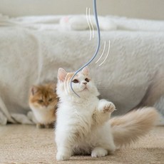 파스텔펫 고양이 실리콘 쥐꼬리 장난감, 핑크, 1개 반려동물용품/고양이 용품 반품 최저가 4,290원