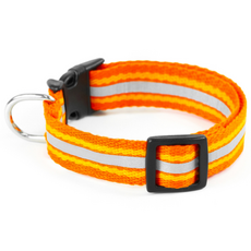 아띠지기 강아지 반사형 웨빙 목줄 3m, 망고, 1개 반려동물용품/펫티켓 산책용품 반품 최저가 5,680원