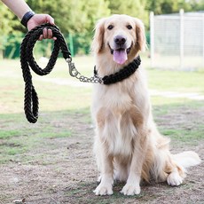 파스텔펫 강아지 중대형견 트위스트 목줄 + 리드줄 세트, 블랙, 1세트 반려동물용품/펫티켓 산책용품 반품 최저가 5,570원