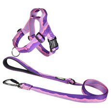 분독 강아지 어드벤처 리쉬 1.4m + 0109 하네스 세트, 퍼플, 1세트 반려동물용품/펫티켓 산책용품 반품 최저가 69,340원