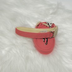 힛찌 강아지 꼬이지 않는 손잡이 쿠션 두마리 리드줄, 코랄핑크, 1개 반려동물용품/펫티켓 산책용품 반품 최저가 25,920원