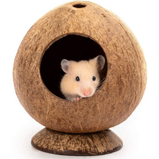 그린허그 햄스터 코코넛 은신처, 1개 반려동물용품/소동물/가축용품 반품 최저가 8,090원