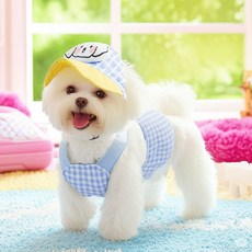 예보들 강아지 하네스 + 리드줄 + 모자 3종 세트, 1세트, 블루 반려동물용품/펫티켓 산책용품 반품 최저가 12,110원