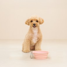 레토 반려동물 휴대용 접이식 실리콘 식기, 핑크, 1개 반려동물용품/강아지 용품 반품 최저가 3,800원