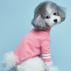 도그아이 반려견용 베이직투라인 티셔츠, 핑크, 1개 undefined/undefined 반품 최저가 5,790원