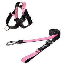 분독 강아지 플레이 카라비너 리쉬 2.5m + 0109 하네스 세트, 블랙핑크, 1세트 반려동물용품/펫티켓 산책용품 반품 최저가 72,330원