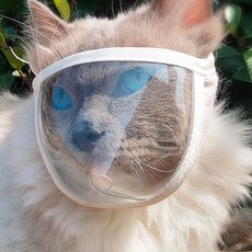 딩동펫 고양이 심플 물림 방지 밴드 투명 마스크 M, 화이트, 1개 반려동물용품/강아지 용품 반품 최저가 5,310원