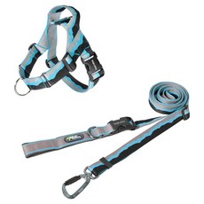 분독 강아지 어드벤처 하이브리드 리쉬 + 0109 하네스 세트, 블루, 1세트 반려동물용품/펫티켓 산책용품 반품 최저가 65,400원