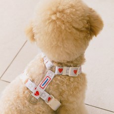 펫츠랜드 강아지 하트팝 H형 하네스, 바닐라크림, 1개 반려동물용품/강아지 용품 반품 최저가 12,240원
