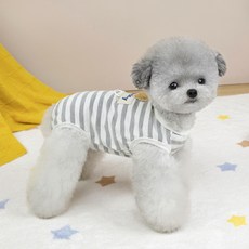 파스텔펫 반려동물 럭키 베어 중성화복, 그레이, 1개 반려동물용품/강아지 용품 반품 최저가 5,470원